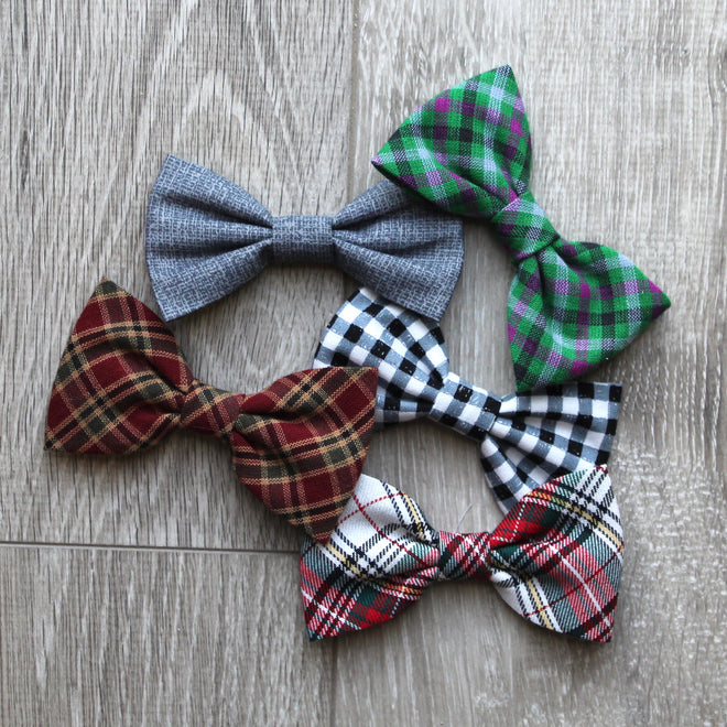 Fall Collection