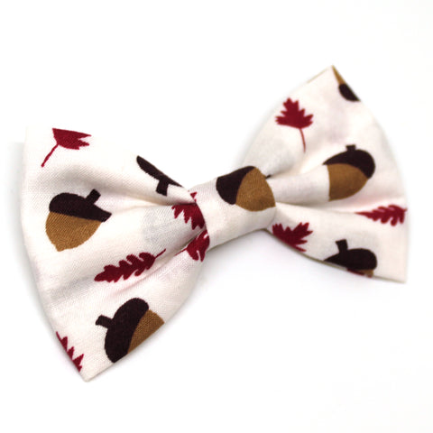 Acorn Bow Tie