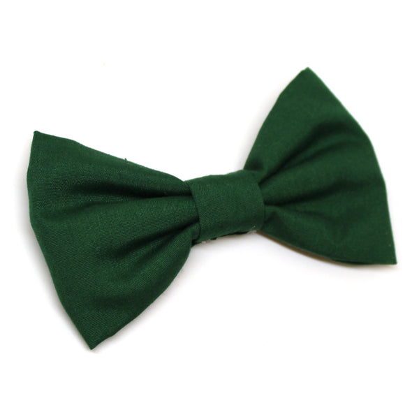 Green Bow Tie