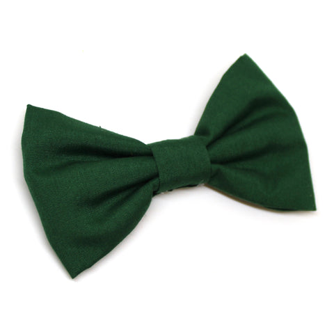 Green Bow Tie