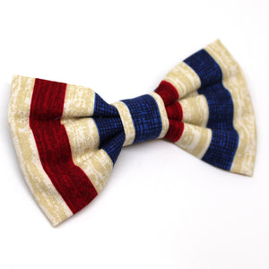 Red, White, and Blue Vertical Striped Bow Tie